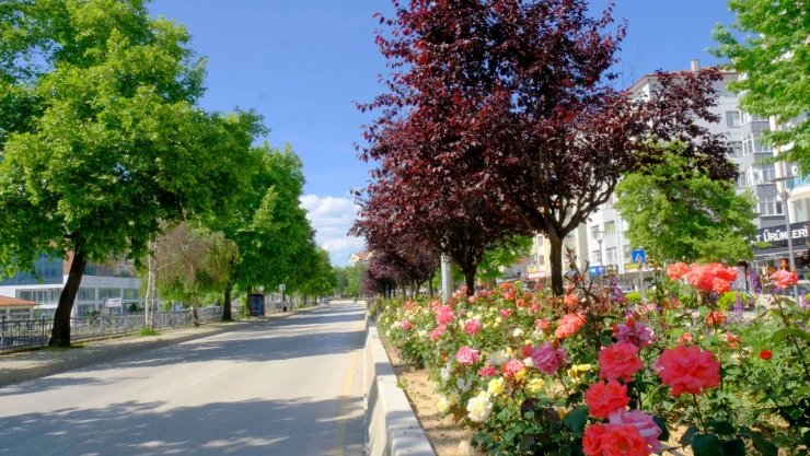 Orta refüjler çiçek açtı