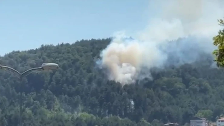 Örtü Yangını Büyümeden Söndürüldü