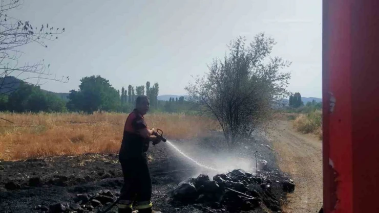 Osmancık'taki Yangında Ağaçlar Zarar Gördü