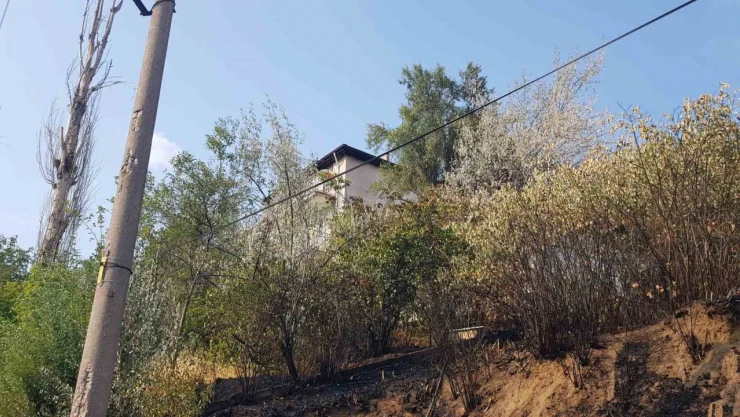 Otluk Alanda Yangın