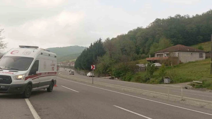 Otomobil Tarlaya Uçtu, Dede Ve 2 Torunu Yaralandı