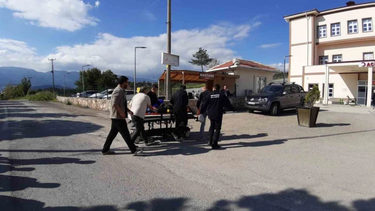 Otomobile Çarpmamak İçin Refüje Girdi