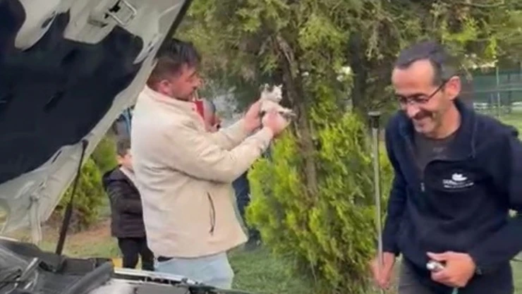 Otomobilin Motoruna Sıkışan Yavru Kedi Kurtarıldı