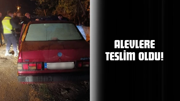 Park Halindeyken Alevlere Teslim Oldu