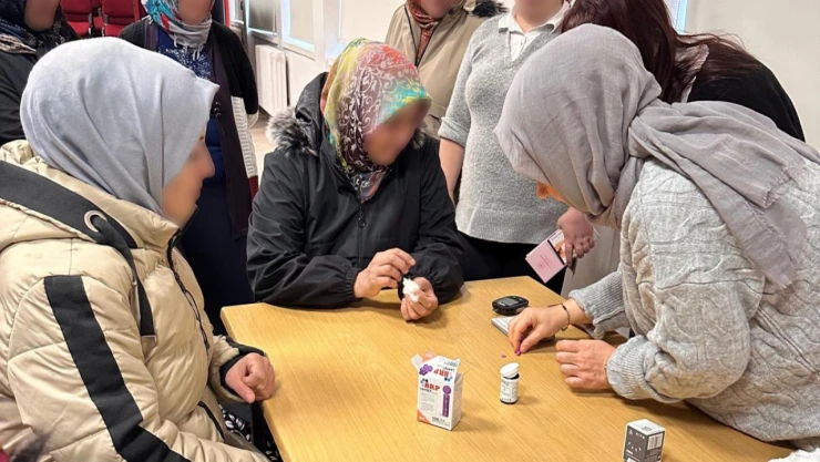 Pınarbaşı'nda Diyabet Anlatıldı 