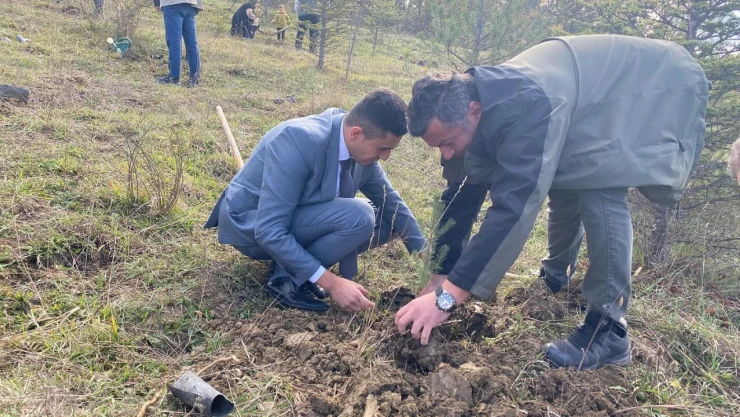 Pınarbaşı'nda Yeşil Vatan Seferberliği