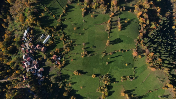 Renk Şöleni Yaşanıyor
