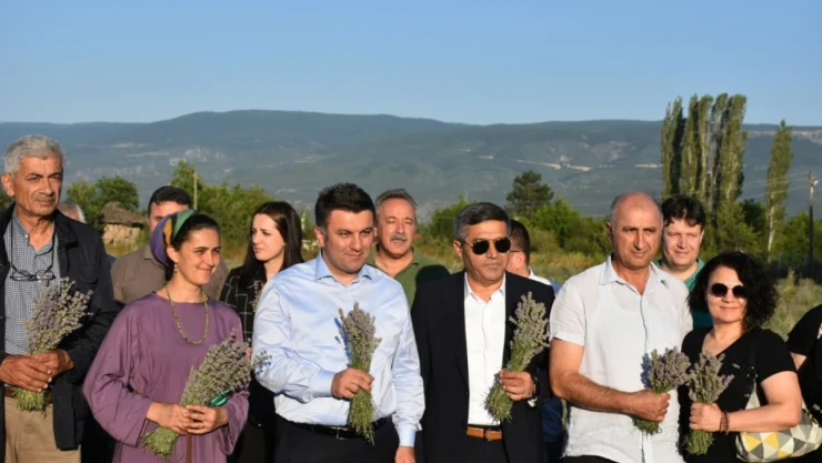 Ressamlığı bıraktı, lavanta üreticisi oldu