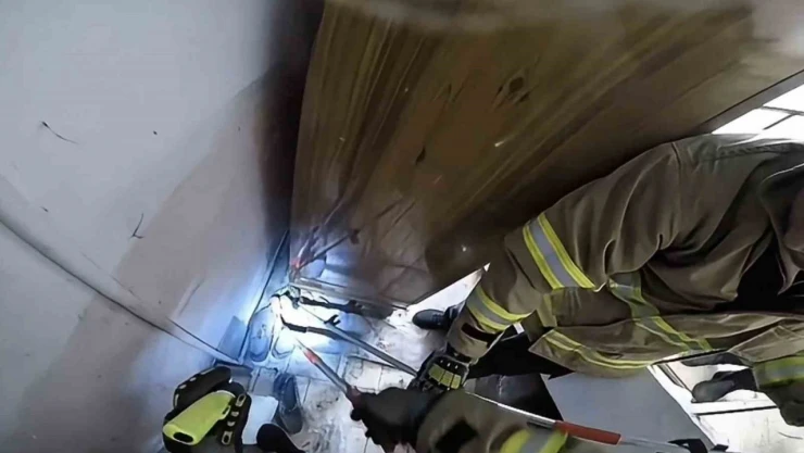 Safranbolu'da Zehirli Engerek Paniği