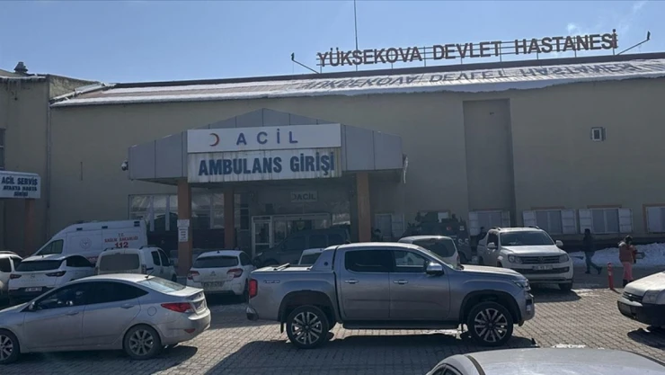 Sahipsiz Köpeklerin Saldırısına Uğrayan Çocuk Hayatını Kaybetti