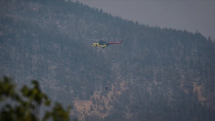 Sakarya'da Ormanlık Alanda Çıkan Yangın Bilecik Tarafına Sıçradı