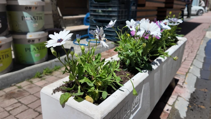 Saksılar, Esnaflara Emanet Edildi