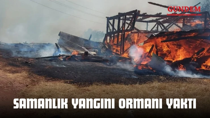 Samanlık Yangını Ormanı Yaktı
