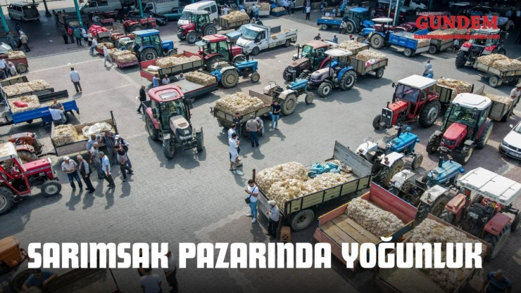 Sarımsak Pazarında Yoğunluk