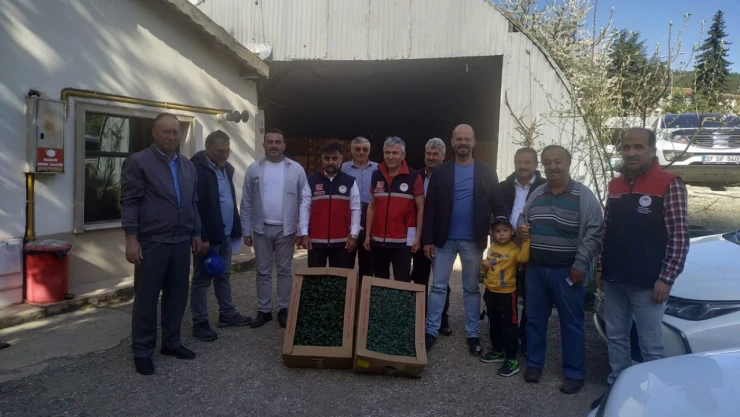 Sebze Fidesi Dağıtımı Gerçekleştirildi