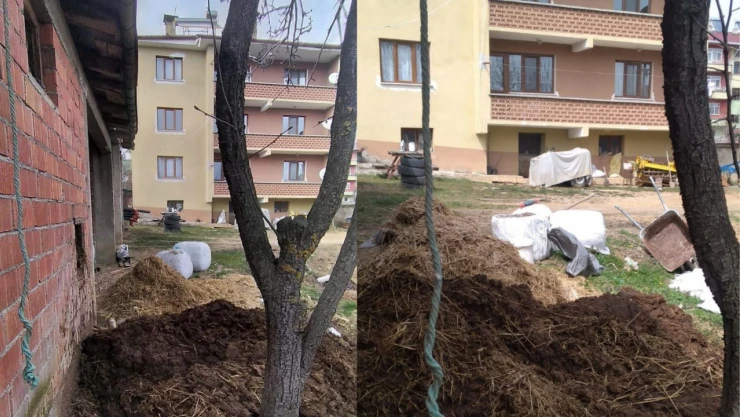 Şehir Merkezine Kemre Atıldı