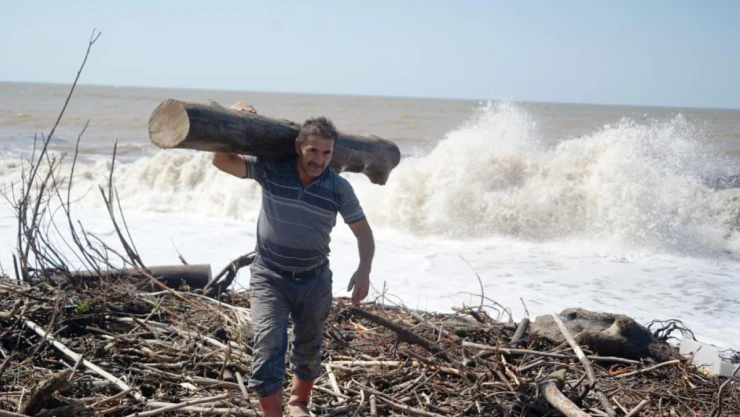 Selin getirdikleri kışın yakacakları olacak