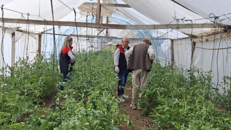 Seralara Tuzaklar Yerleştirildi