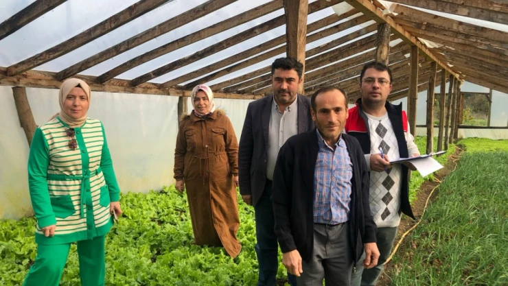 Seralarda Bitki Sağlığı İncelendi