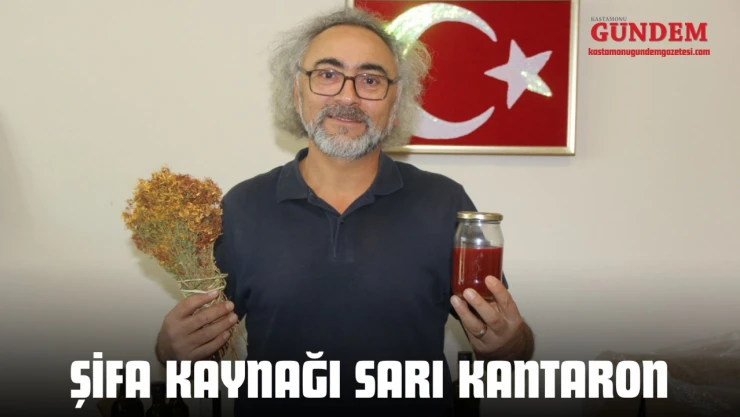 Şifa Kaynağı Sarı Kantaron