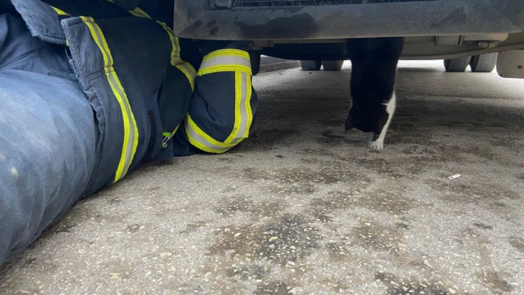 Sıkışan Kedi Yavrusu Kurtarıldı