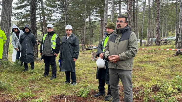 Silvikültür Tatbikatları Devam Ediyor