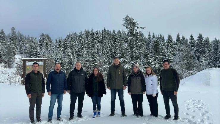 Silvikültürel Çalışmalarını İncelediler