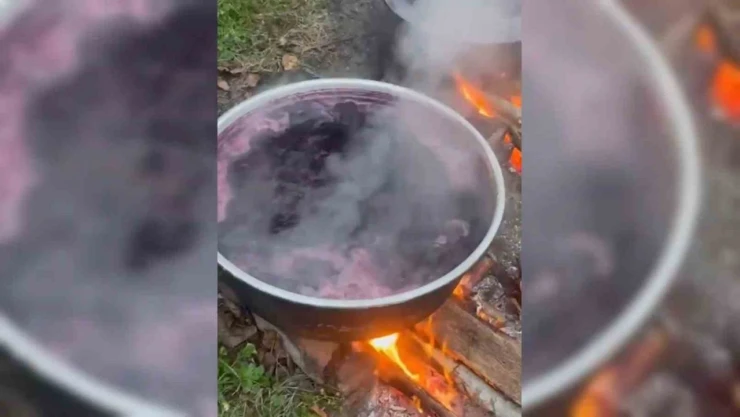 Sinop'ta Kışlık Pekmez Mesaisi