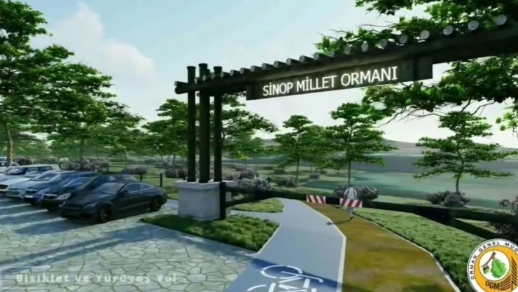 Sinop Millet Ormanı Bu Yıl Tamamlanacak