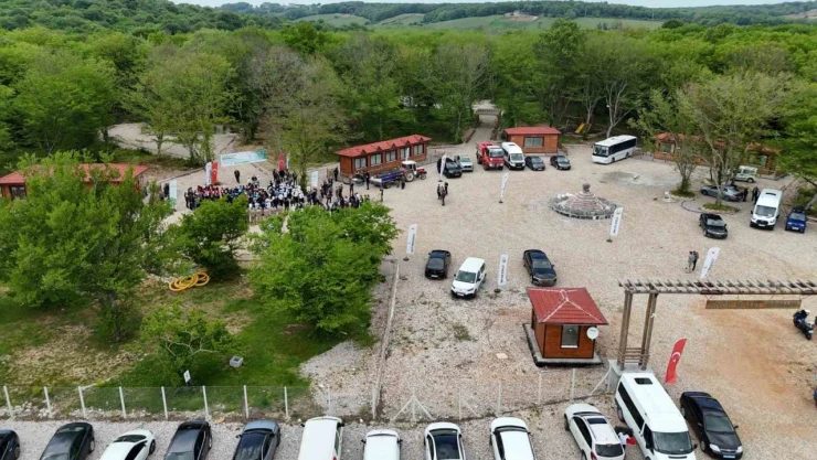 Sinop'ta 'OrmanBenim' Kampanyası