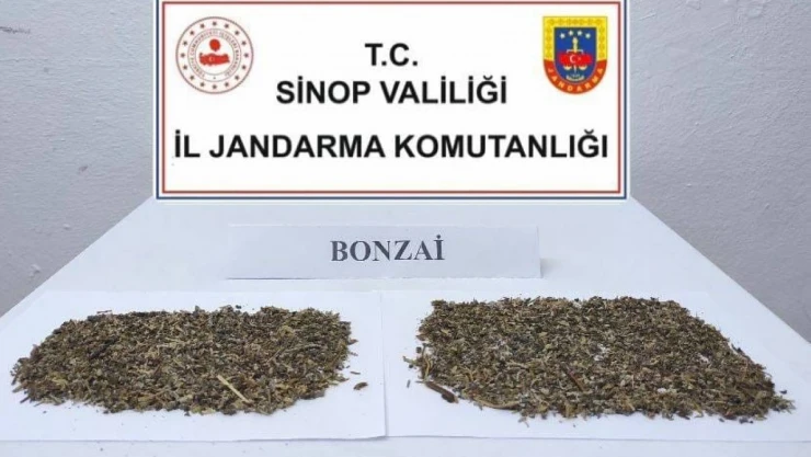Sinop'ta 10 Gram Bonzai Ele Geçirildi