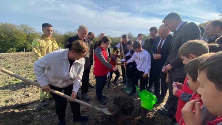 Sinop'ta 3 Bin 860 Fidan Toprakla Buluştu