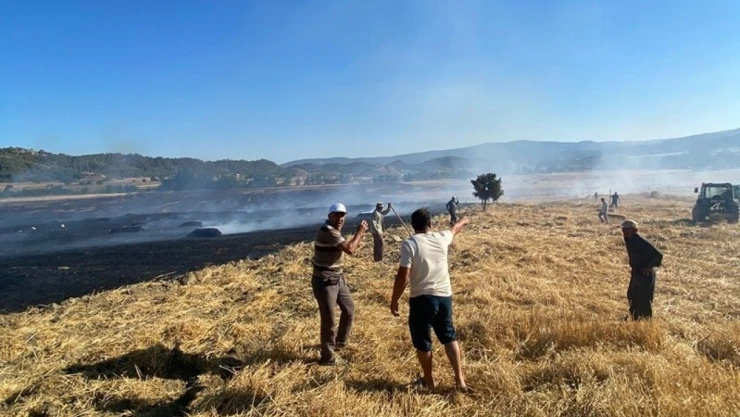 Sinop'ta Anız Yangını: 60 Balya Saman Kül Oldu