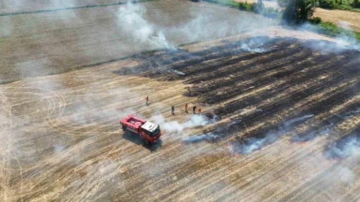Sinop'ta Anız Yangını Paniği
