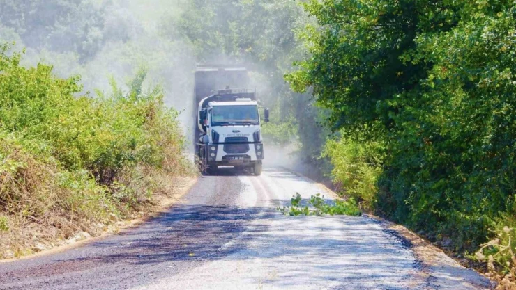 Sinop'ta Asfalt Çalışmaları