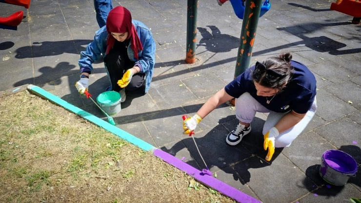 Sinop'ta Barış Manço Parkı Renklendi
