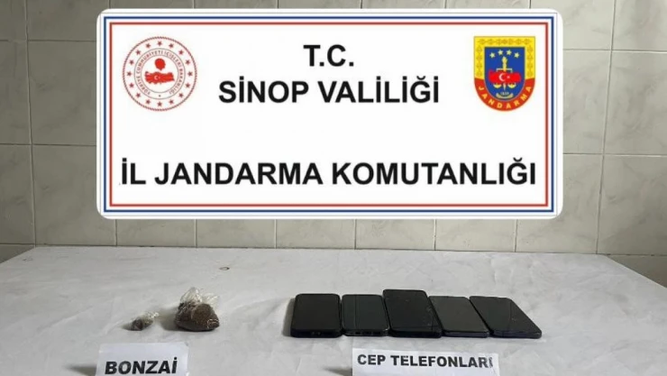 Sinop'ta Bonzai Ele Geçirildi