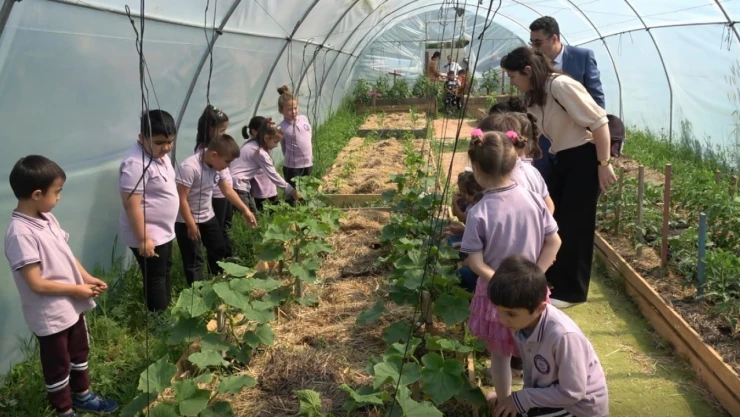 Sinop'ta Çevreci Eğitim Modeli