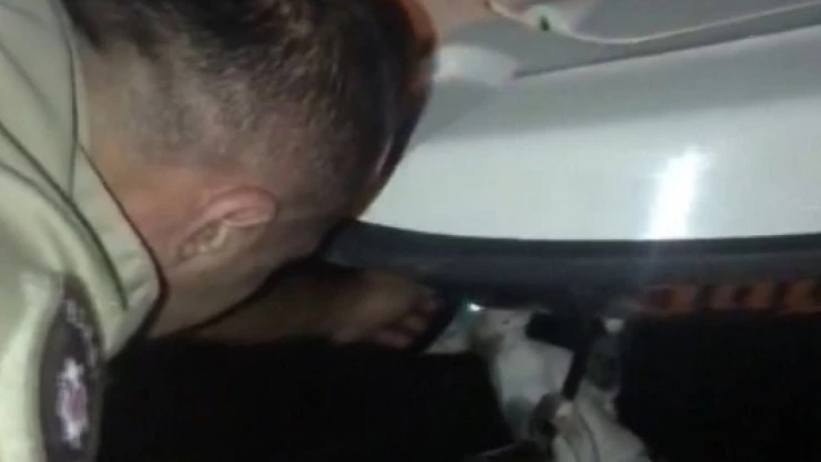 Sinop'ta Denize Düşen Kedi Kurtarıldı