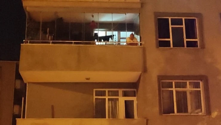 Sinop'ta Evinin Balkonundan Düşen Kadın Hayatını Kaybetti