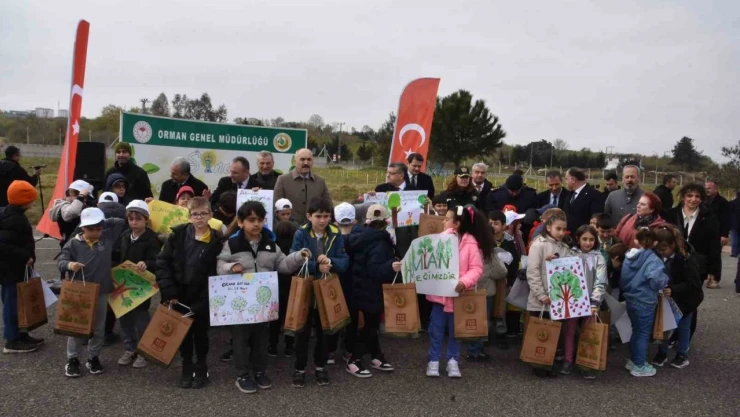 Sinop'ta Fidan Dikim Etkinliği