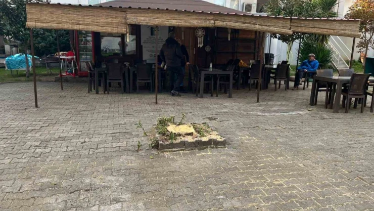 Sinop'ta Fırtına Ağacı Devirdi