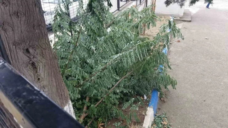Sinop'ta Fırtına Hayatı Olumsuz Etkiledi