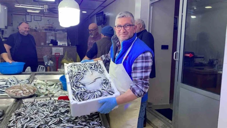 Sinop'ta Hamsi Fiyatları Düştü