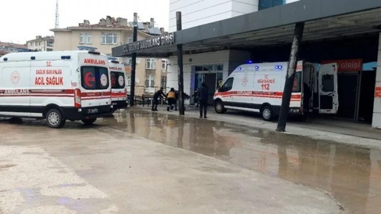 Sinop'ta Mantar Zehirlenmesi