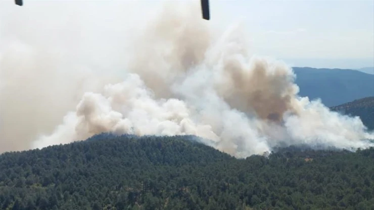 Sinop'ta Oman Yangını