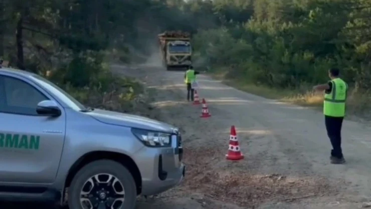 Sinop'ta Orman Kaçakçılığına Karşı Sıkı Denetim