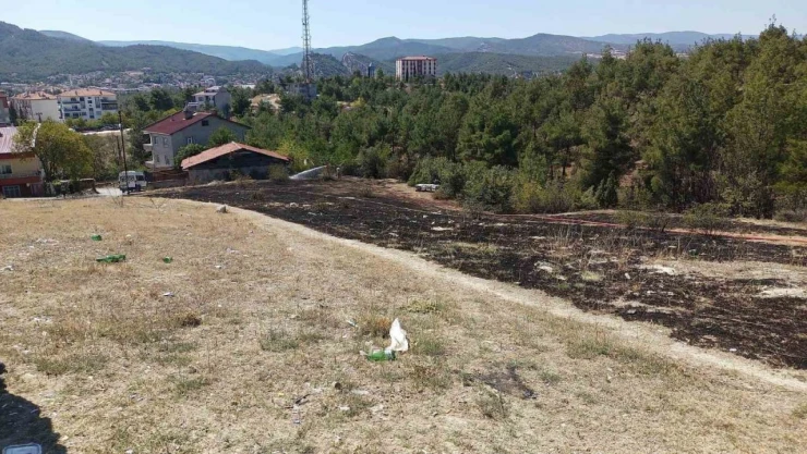 Sinop'ta Ot Yangını!