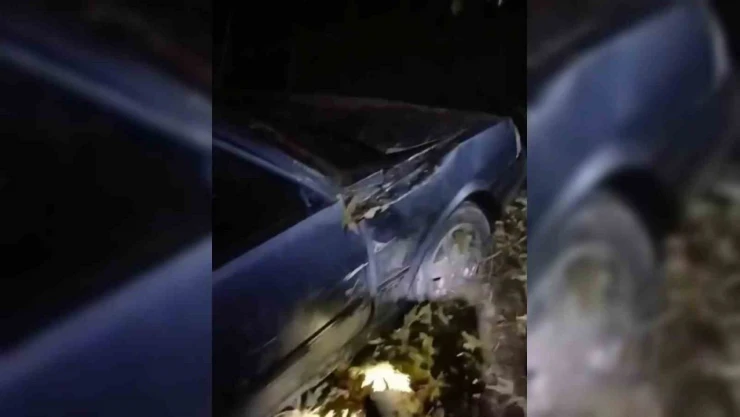 Sinop'ta Otomobil Şarampole Yuvarlandı