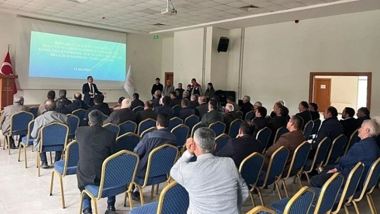 Sinop'ta Sahipsiz Hayvanlar İçin Çözüm Toplantısı